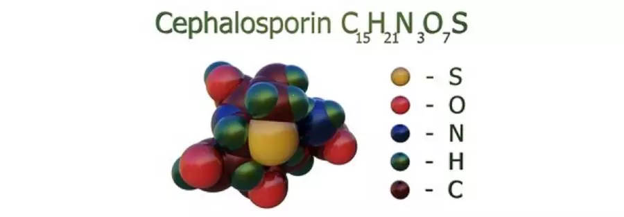 Cephalosporins – Market, Trends and Forecasts