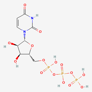 Uridine Triphosphate (UTP) and its sodium salts